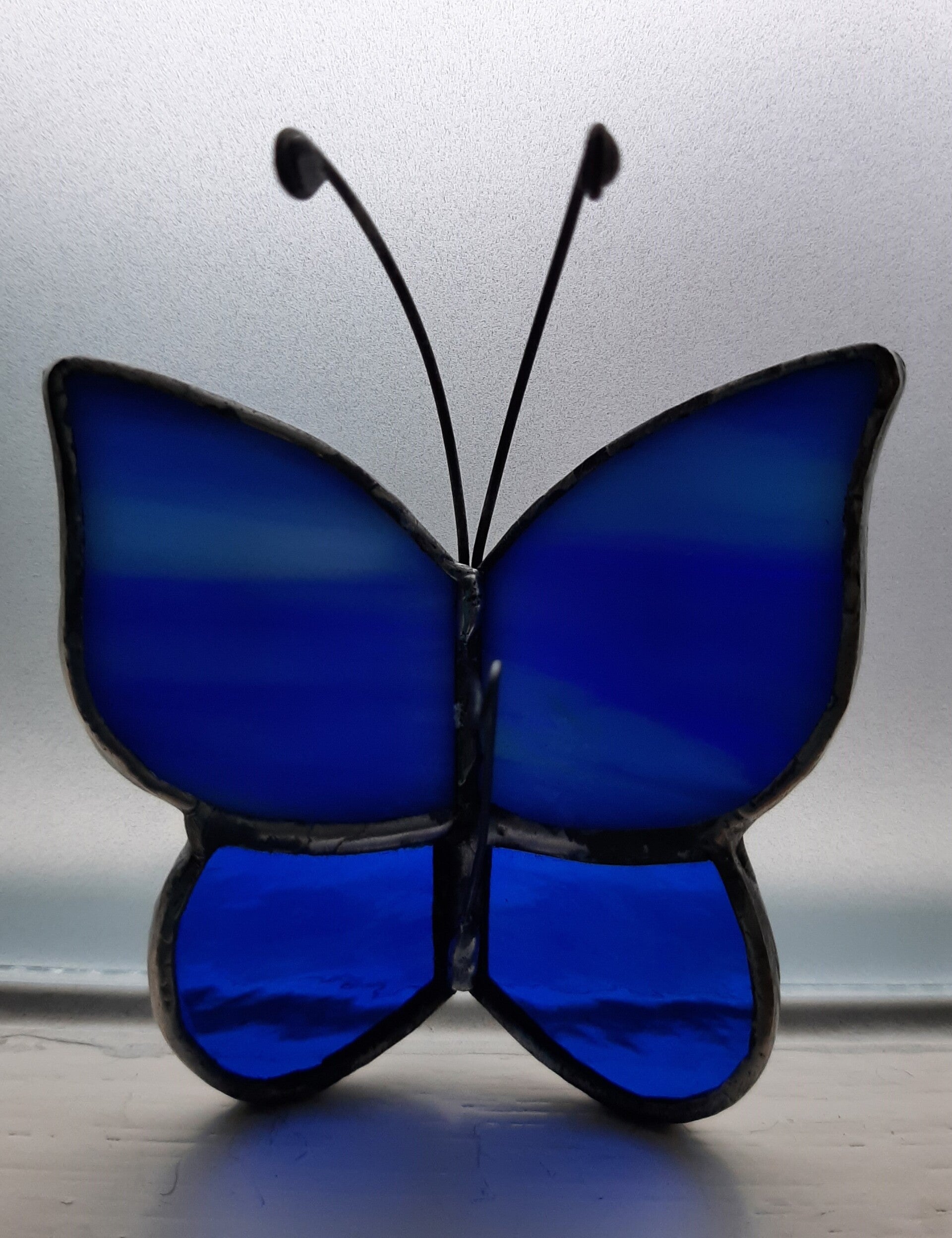 Vlindertje blauw/blauw