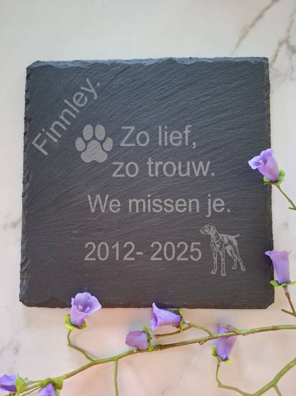 Aandenken dieren leisteen.