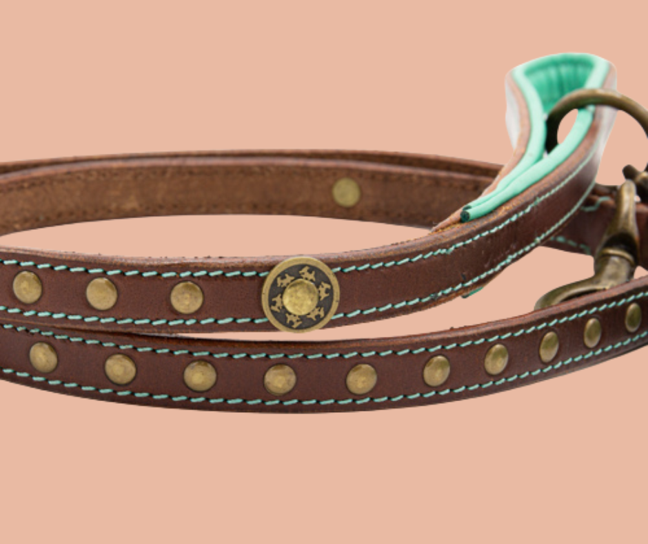 Joe Hondenriem - Dog with a Mission