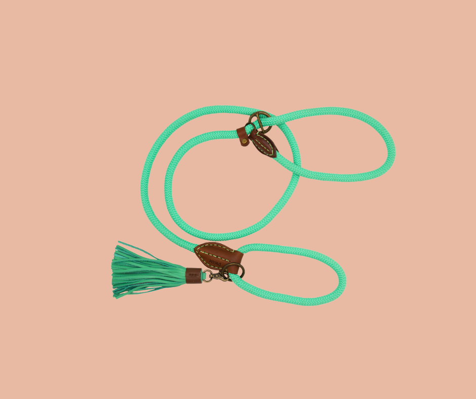 Long John Jade Slip lead - Dog with a Mission