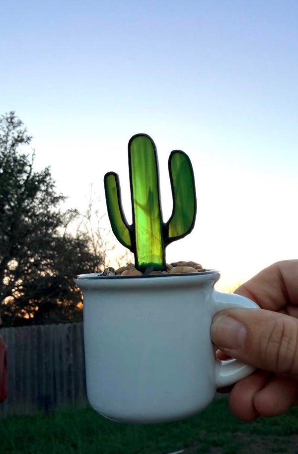 Saguaro in espresso cup