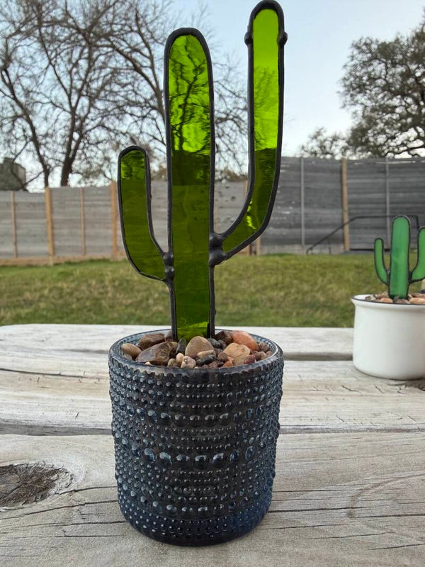 Saguaro in hobnail shot glass