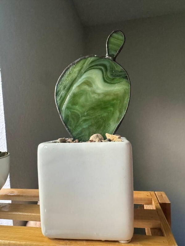 Nopal in thrifted square small planter