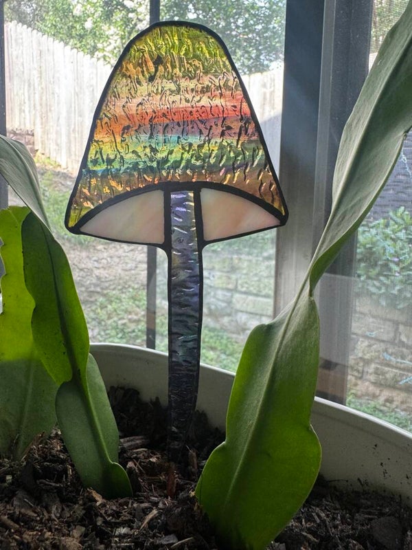 Multicolored Mushroom