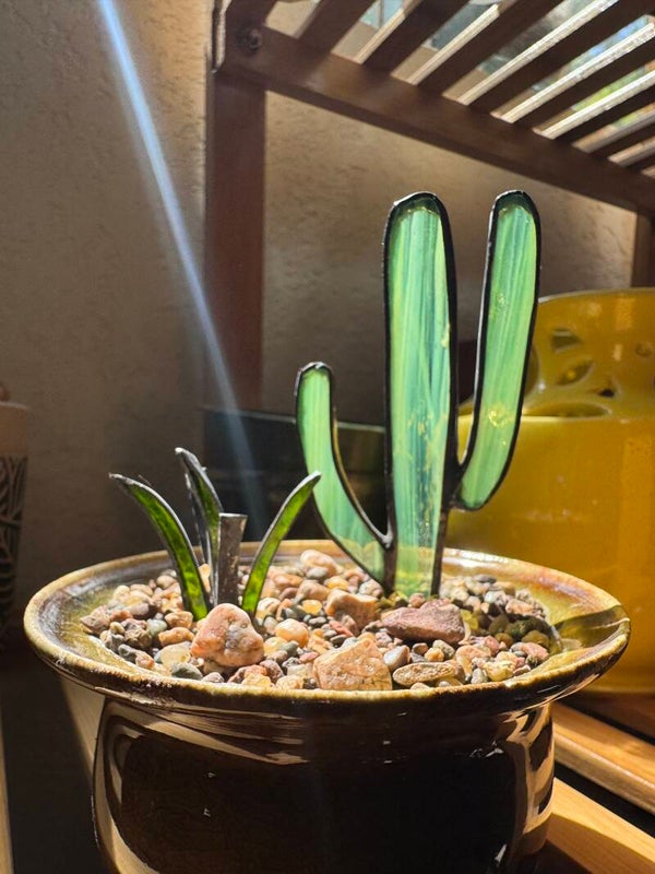 Mini Saguaro and Yucca