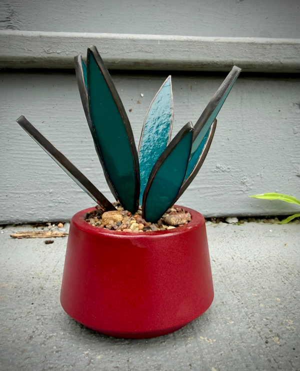 Dark Teal Agave in Wine Colored Mini UFO planter w/s (Copy)