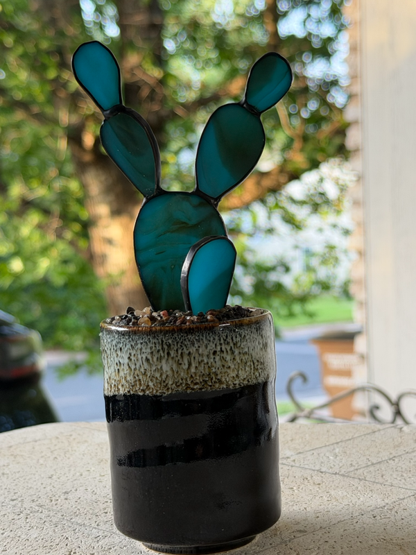 Turquoise Nopal in handmade small brown planter  w/s (Copy)
