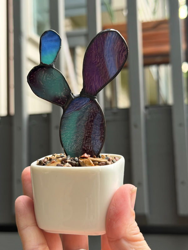 Purple Nopalito in mini square planter (Copy)