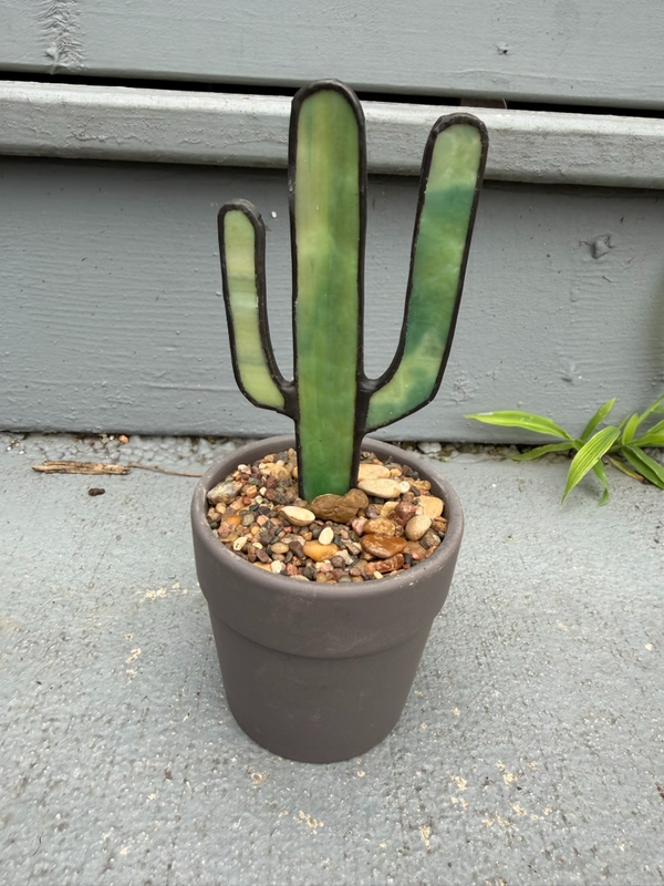 Green w/yellow Saguaro in Taupe Planter w/s