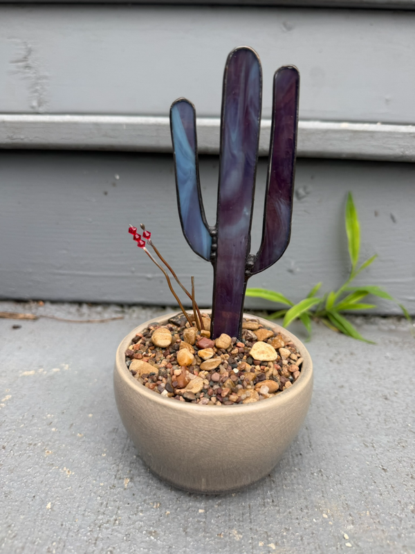 Purple Cosmic Saguaro with Ocotillo w/s