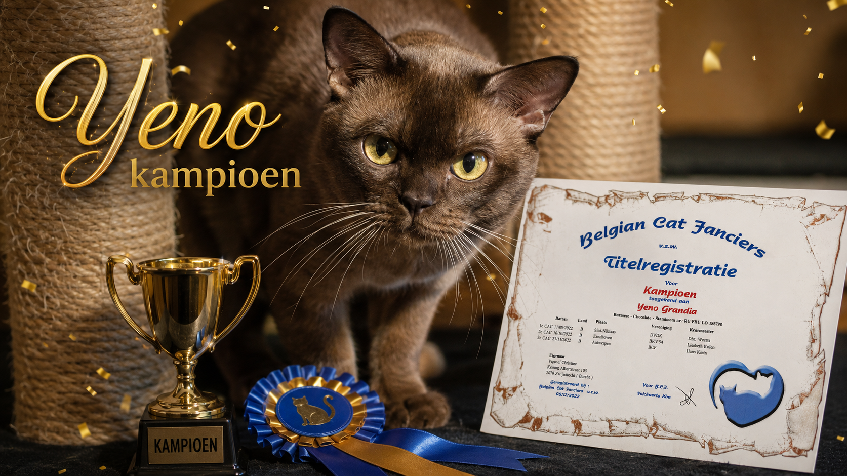 Hallo ik ben Yeno Grandia *RU  in de kleur Chocolate geboren op 17/01/2020  Iik ben getest op HK , GM2  en Head defect