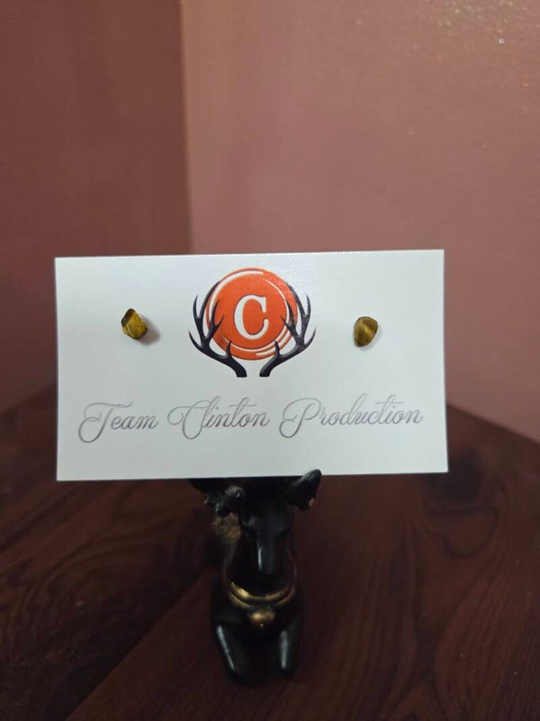Tiger Eye Earrings