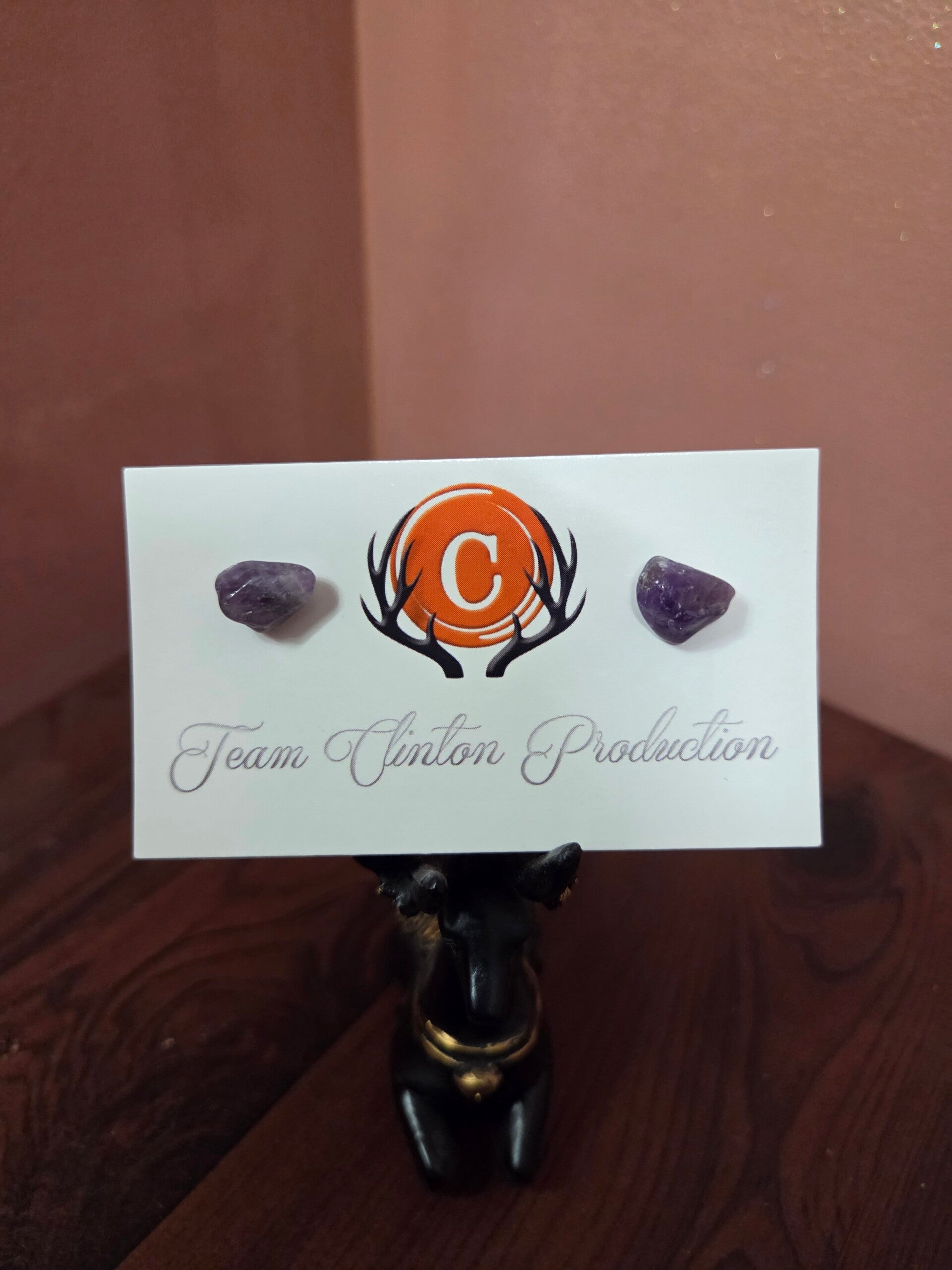 Amethyst Earrings