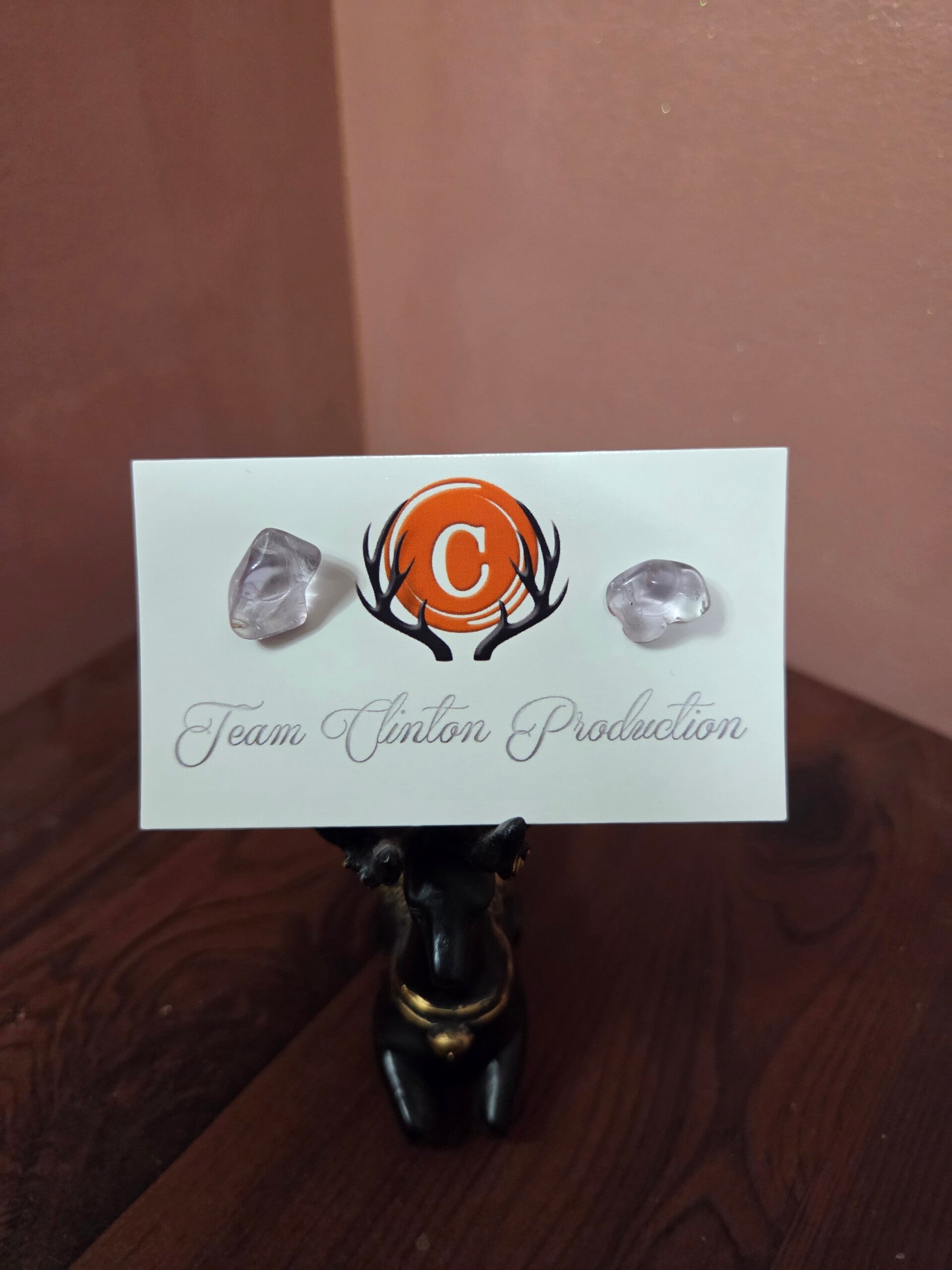 Amethyst Clear Earrings