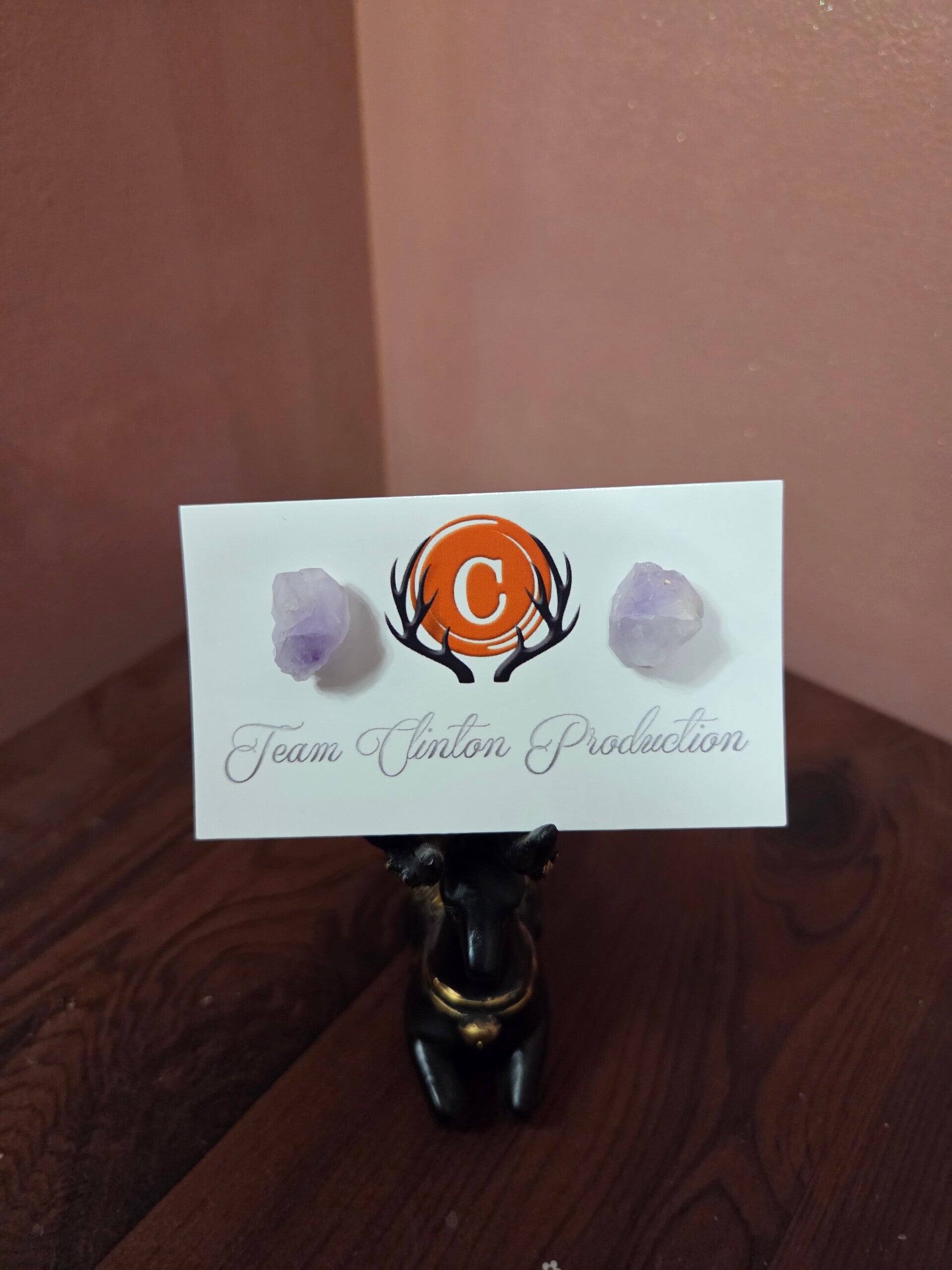 Raw Amethyst Earrings