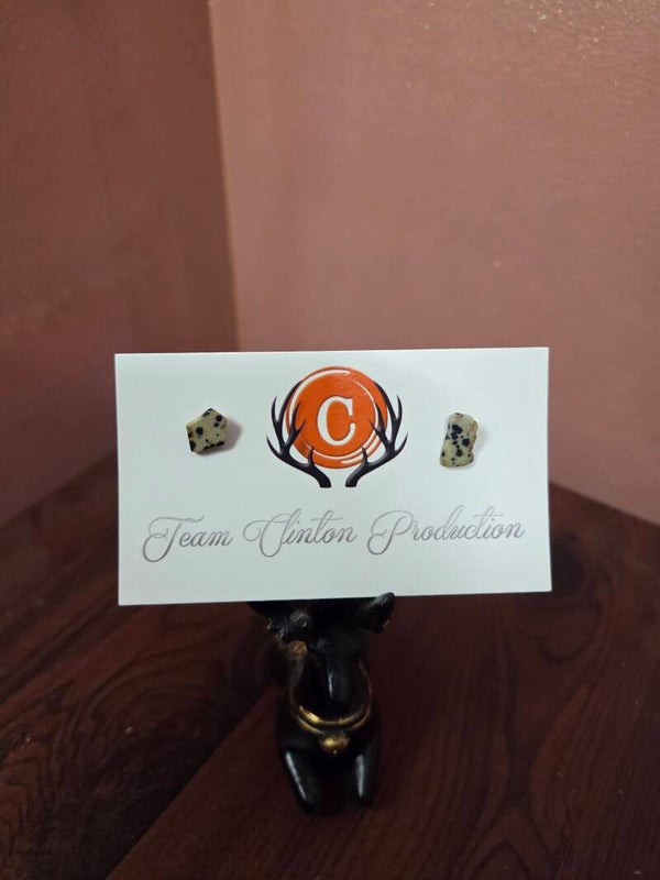 Dalmatian Jasper Earrings