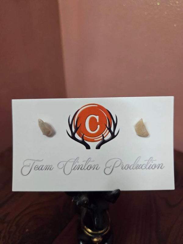 Sunstone Earrings