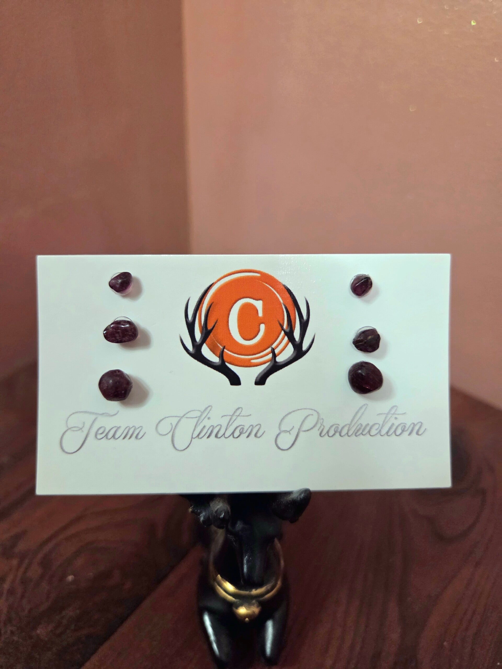 Large Garnet Earrings