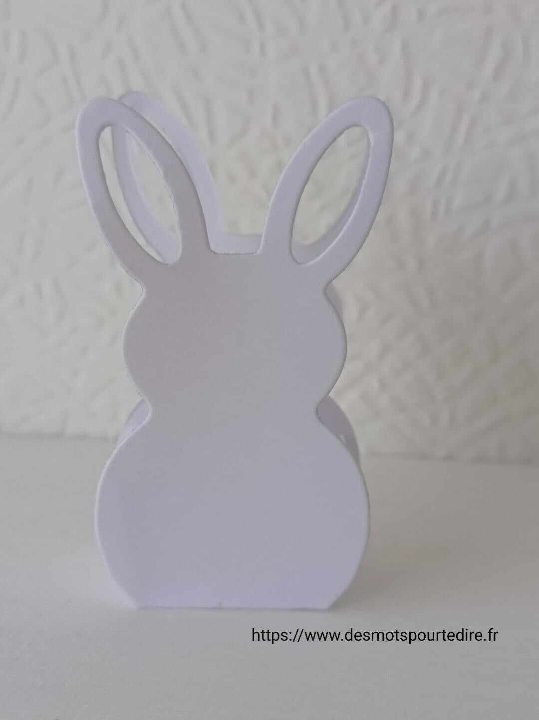 Lot de 10 contenants/ marque place Lapin