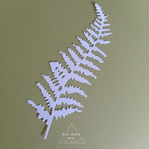Découpe papier "Feuille de Fougère" (Réf. FE57)