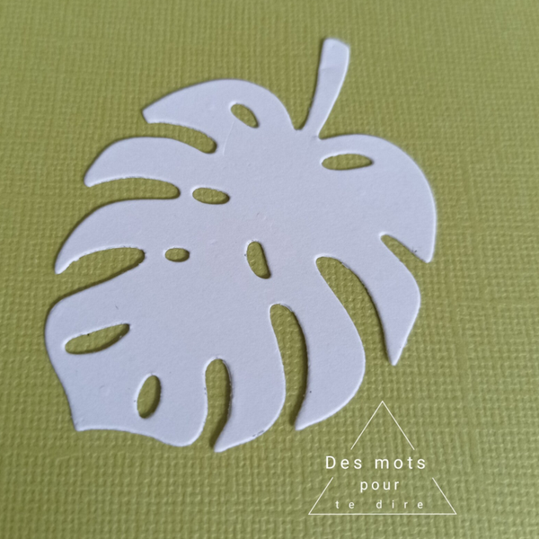 Découpe feuille Monstera - Réf FE19