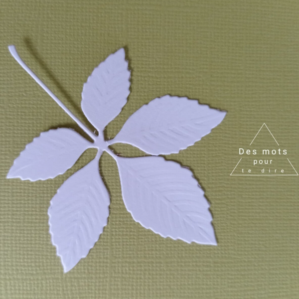 Feuille - Découpe embellissement pour scrapbooking (Réf.FE14)