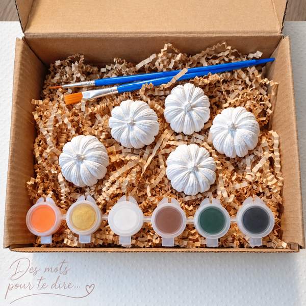 Kit créatif – 5 citrouilles en plâtre à peindre