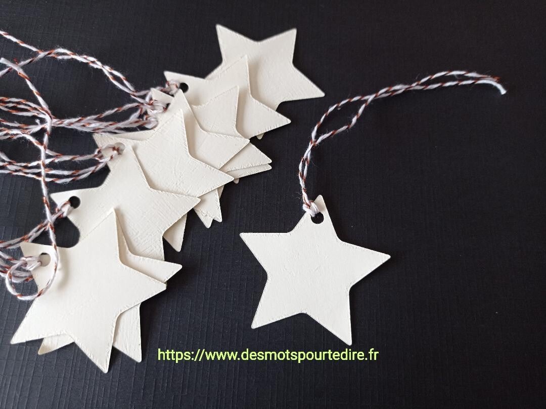 Etiquettes cadeaux étoile "Lot de 10" (Réf LT17)