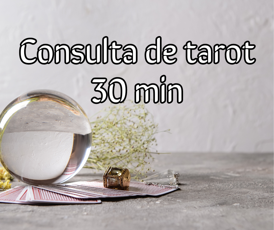 Consulta de 30 minutos