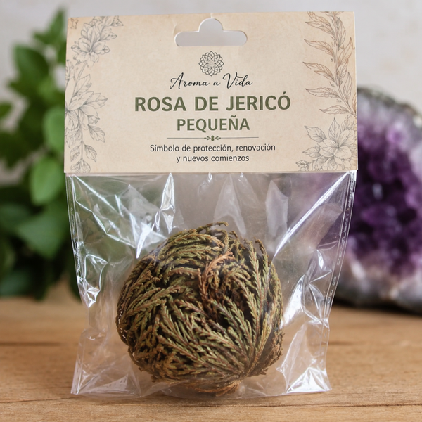 Rosa de Jericó pequeña