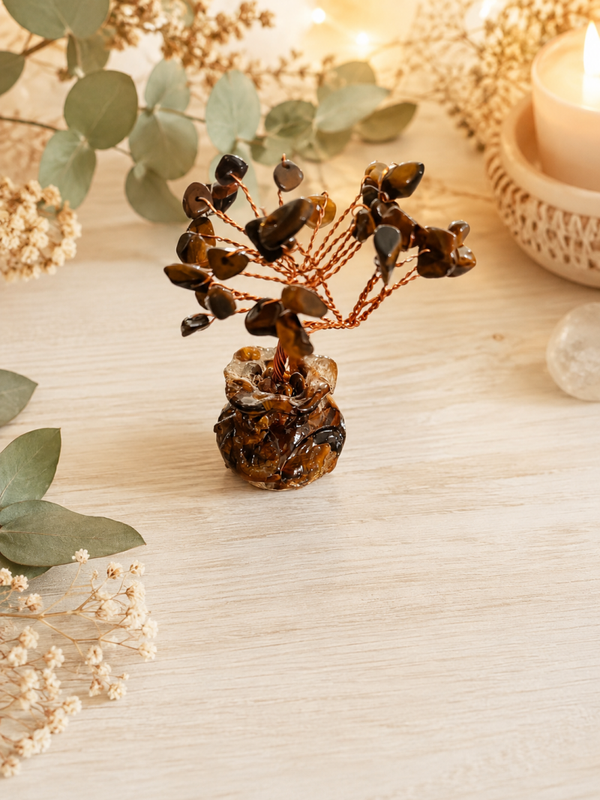 Árbol de Ojo de Tigre – Protección, Fuerza y Prosperidad