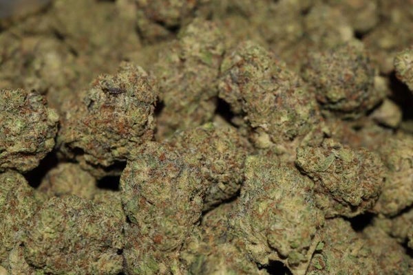 BubbleGum AAA Light Deps Ozs only