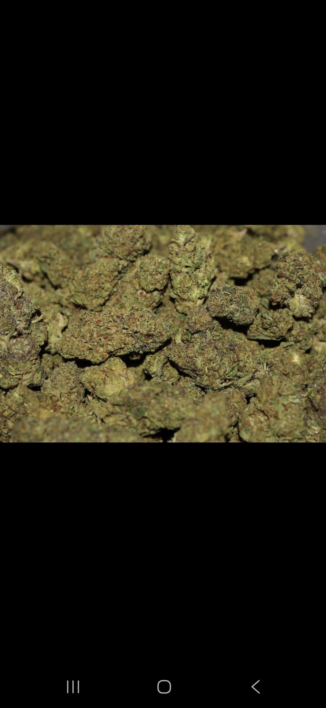 G33-AA Light Dep oz only