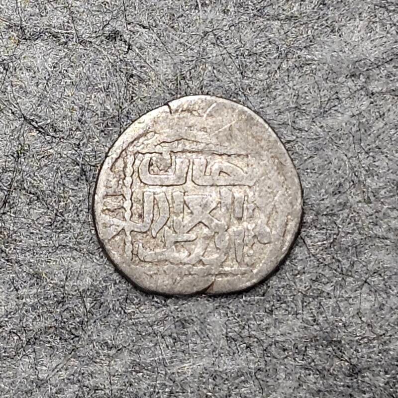 Horde d'or - 713 (1314) - Dirham/Dang