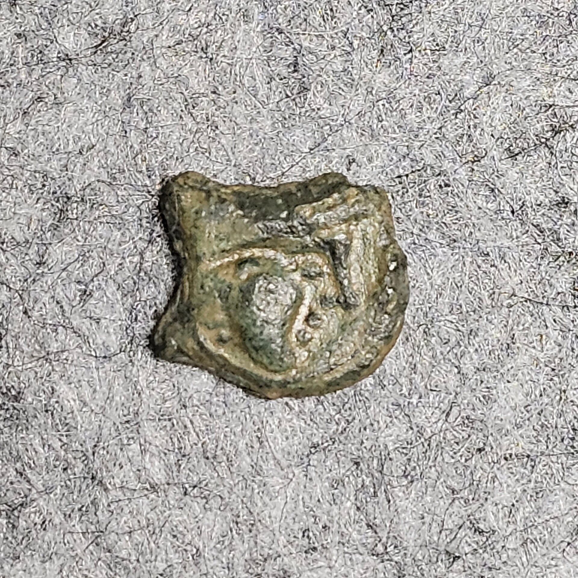 Hémobiole - Massalia