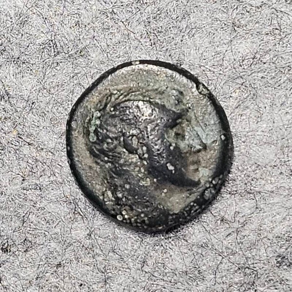 Amasya (Pontos) - Dichalkon