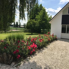 IMG_1663.jpg