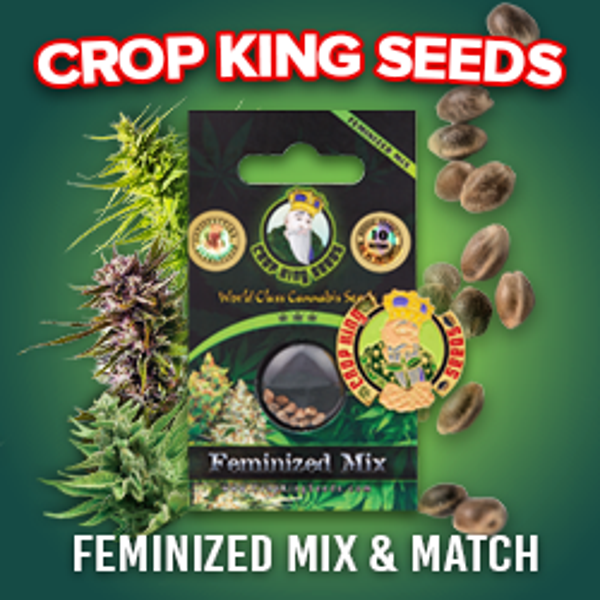 Crop King seeds