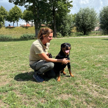 honden,hond,hondentraining,hondenschool,pup,puppy,basiscursus,puppytraining,puppycursus,vervolgcursus,groepstraining,trekken aan de lijn,training hond,relatie hond,Lamswaarde,Zeeuws Vlaanderen,Zeeland,Hulst,privetraining,individuele training,heropvoeding,