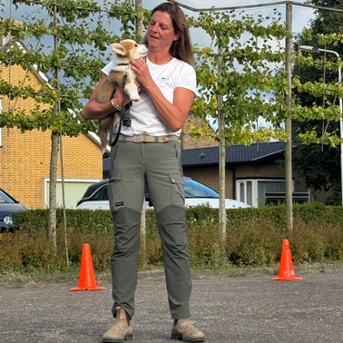honden,hond,hondentraining,hondenschool,pup,puppy,basiscursus,puppytraining,puppycursus,vervolgcursus,groepstraining,trekken aan de lijn,training hond,relatie hond,Lamswaarde,Zeeuws Vlaanderen,Zeeland,Hulst,privetraining,individuele training,heropvoeding,