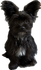 Winnie 3D Prints and More