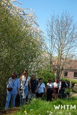dsc_2772-copy-standard.jpg