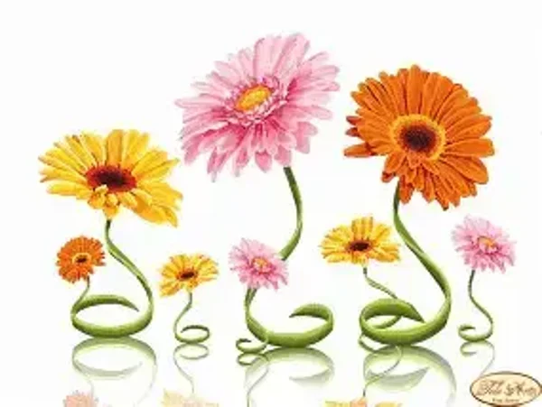 3 Bloemen