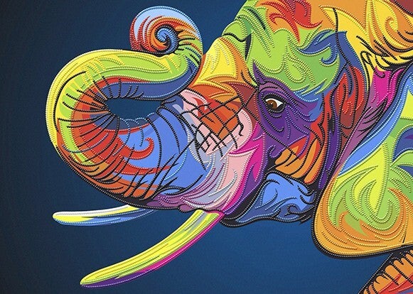 Color Olifant