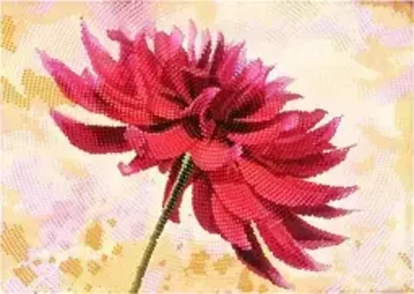 Dahlia