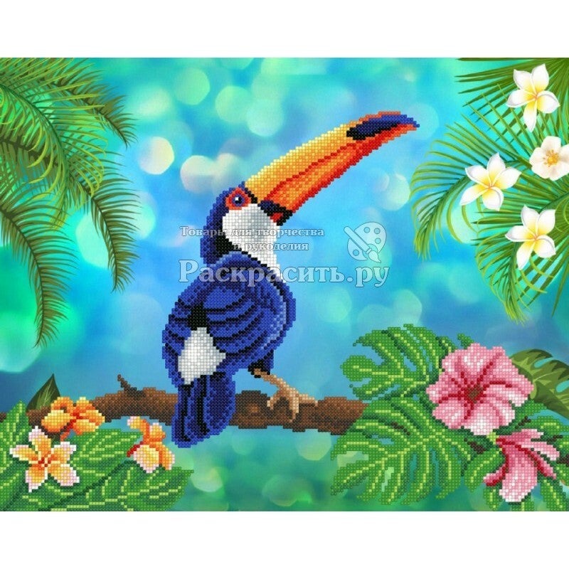 Toucan