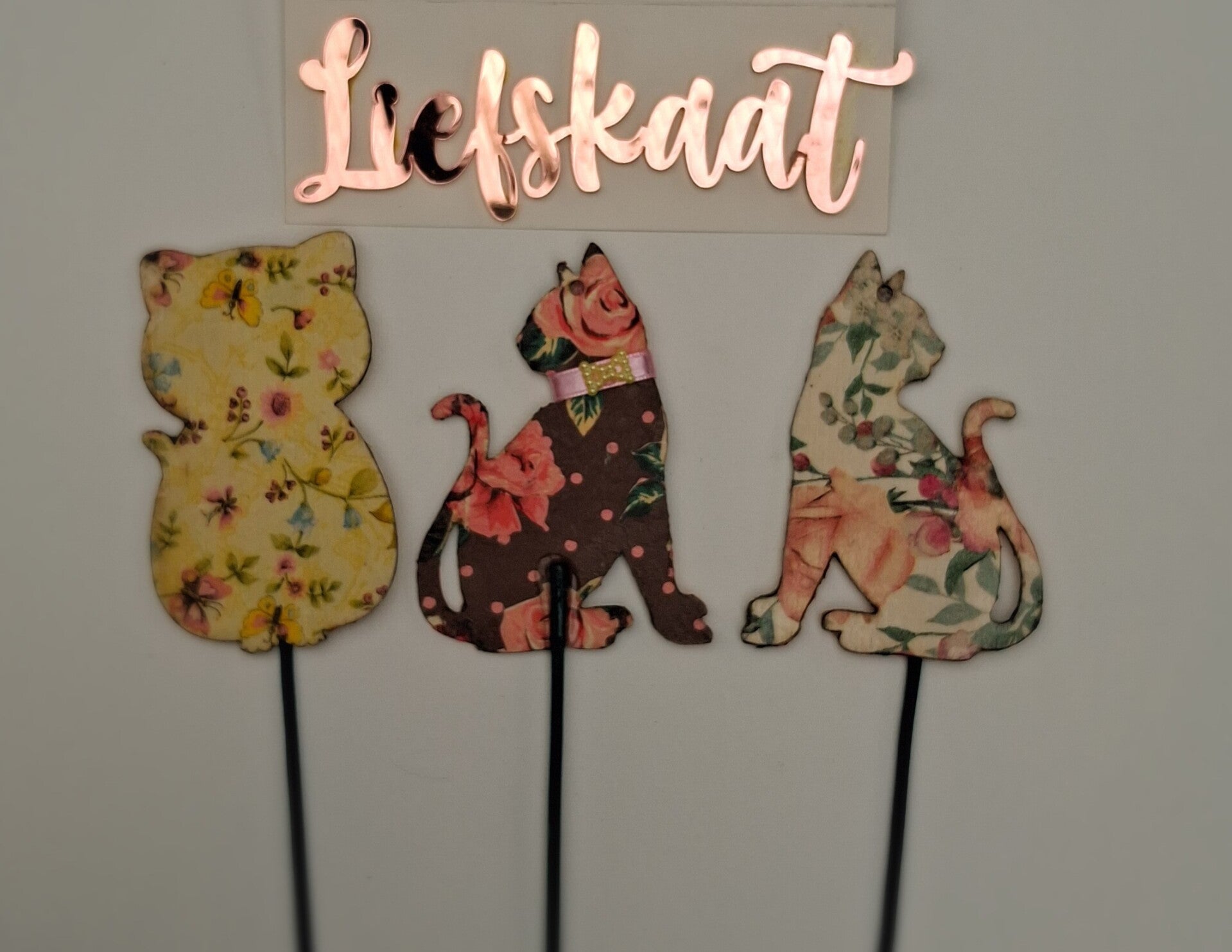 Set Plantenstekers Kat