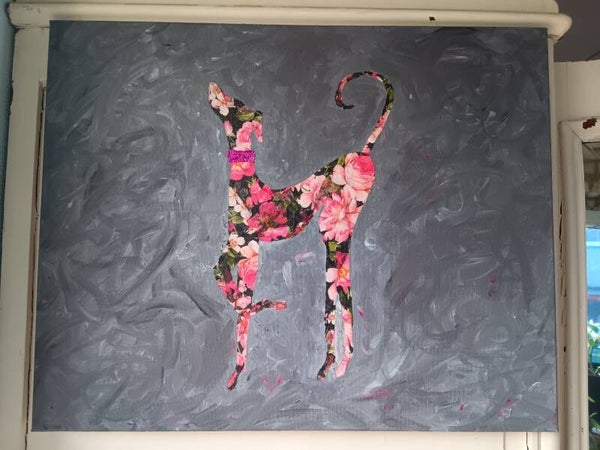 Galgo op doek voor Stichting All4dogs