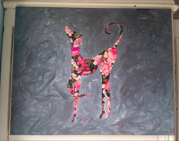 Galgo op doek voor Stichting All4dogs