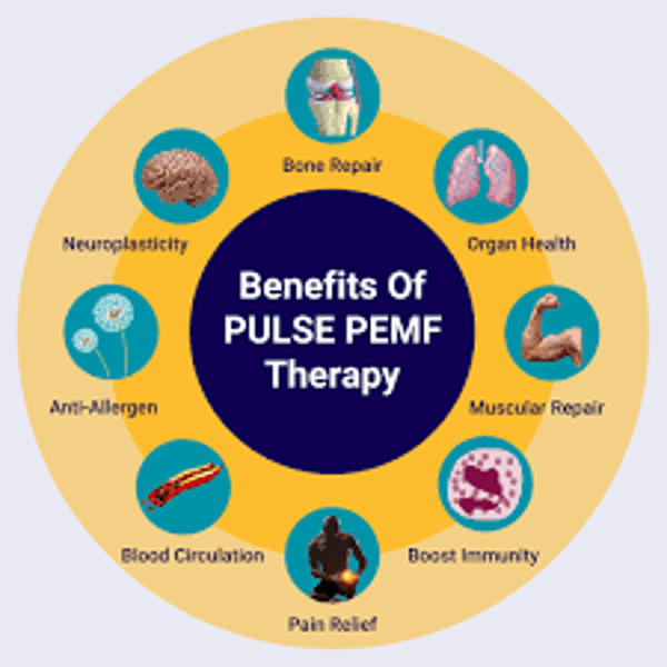 PEMF Pulsed ElectroMagnetic Field